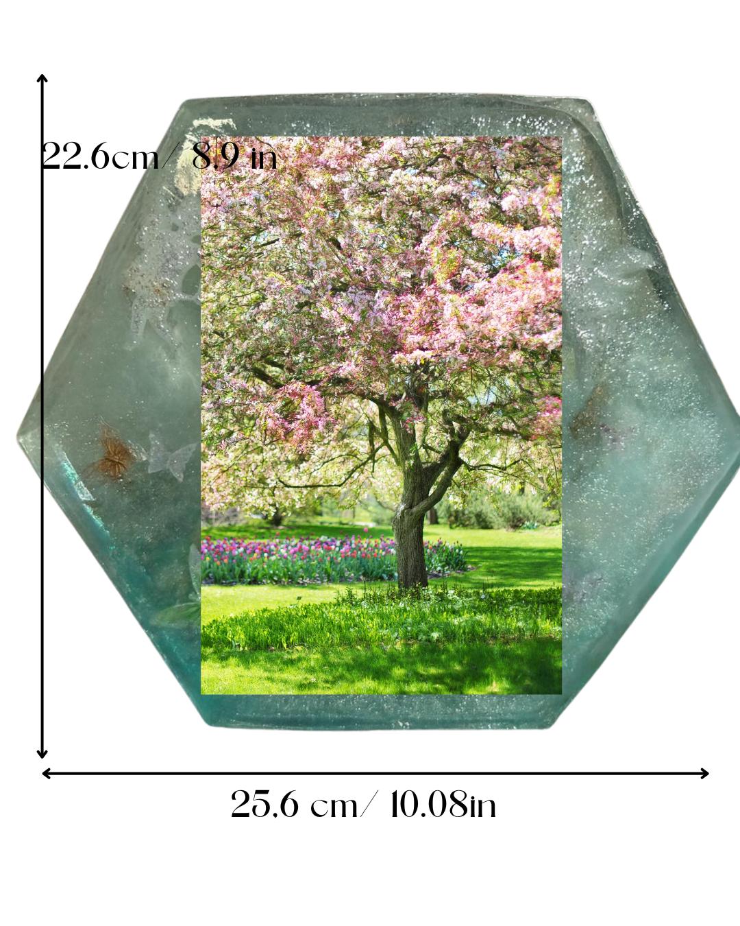 Ramă Foto Hexagon - realizată la comandă după preferințele tale